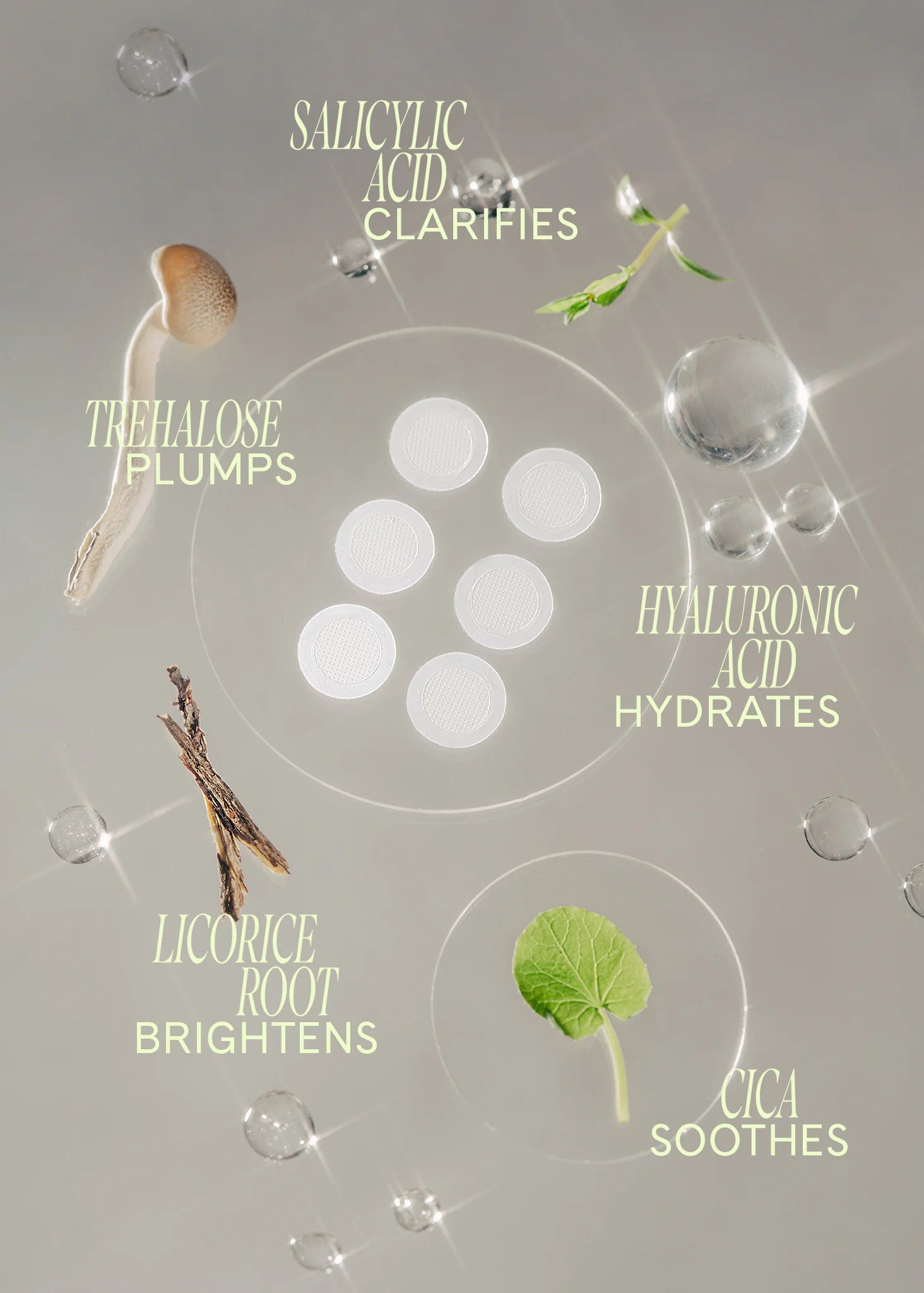 Ingrown Microdart Patch